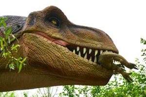 dinosaur replica head