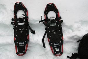 snowshoes