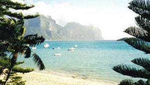 Lord Howe island beach