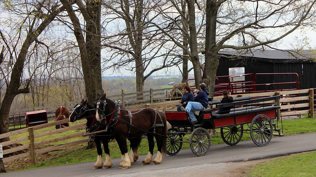 shaker horse-drawn wagon