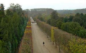 Path Versailles to Petit Trianon