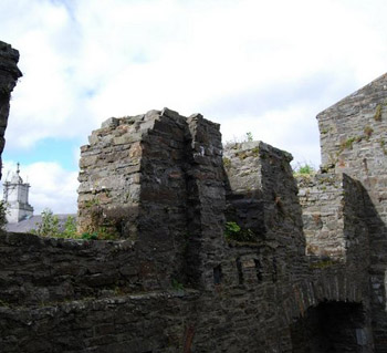 Desmond Castle walls