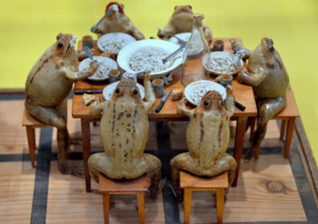 Frog display in museum