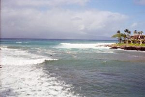 Maui shoreline