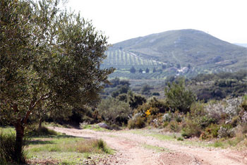 Provence scenery