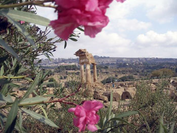 Greek ruins on Sicily