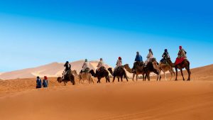 desert camel caravan