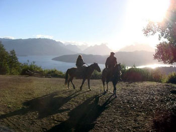 two horses in Argentina