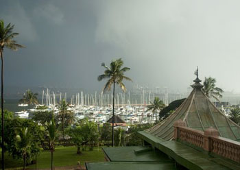 Durban harbour with boats and palm trees