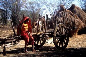 woman on hay wagon