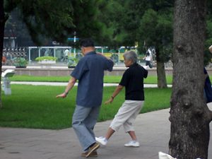 couple doing T'ai Ch'i