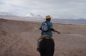 guide, David, on horseback