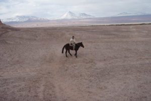 the author on her nameless horse