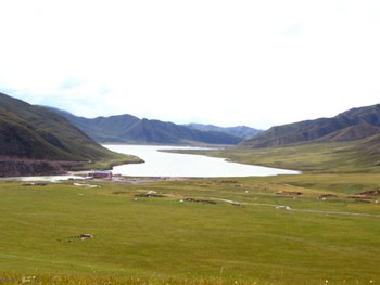 grasslands of Tibet