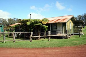 rustic cowboy station on Parker Ranch