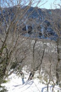 looking up towards Mount Halla summit