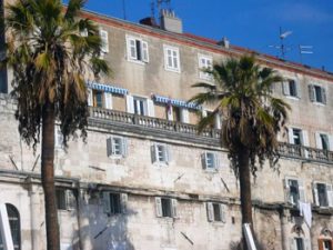 palm trees in Peristyle Square, Split
