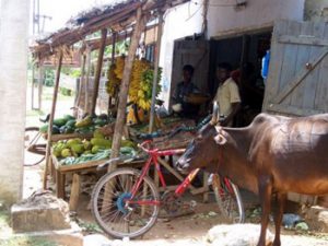 market in Sri Lanka village