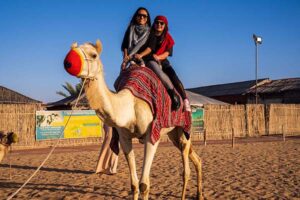 camel ride dubai desert