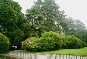 A park in Milan on a rainy day