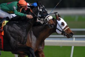 man in green riding a horse