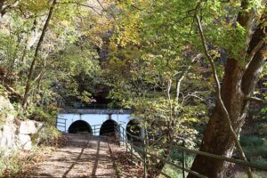 entrance to Dunbar Cave, Clarksville