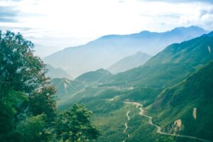 Vegetation with rolling hills.