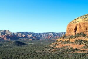 Nature in Mesa Verde.