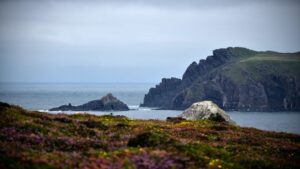 rock outcropping in Dingle Peninsula Ireland