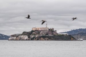 Birds flying over a building on an island