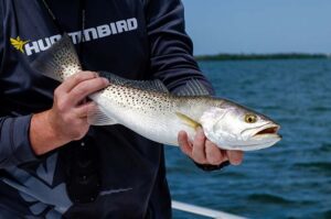 fisherman holding trout