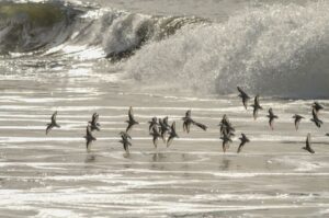 Marshall’s Beach, San Francisco