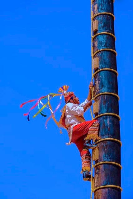 man climbing up pole