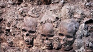 skulls in racks