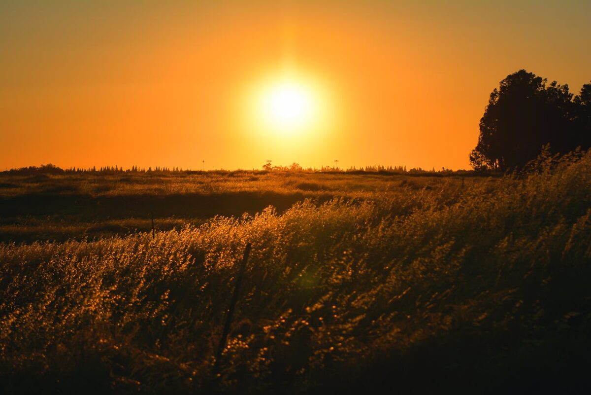 Sunset in California