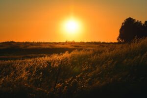 Sunset in California