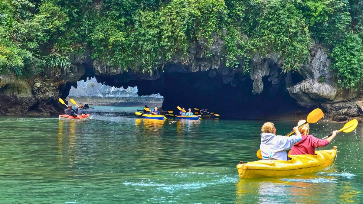 Lan Ha Bay Cruise