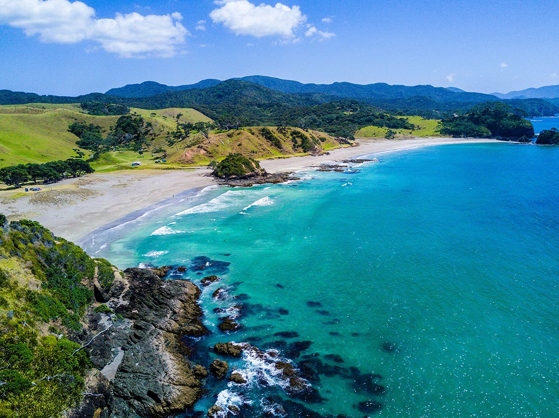 north shore new zealand