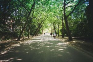 Amsterdam park