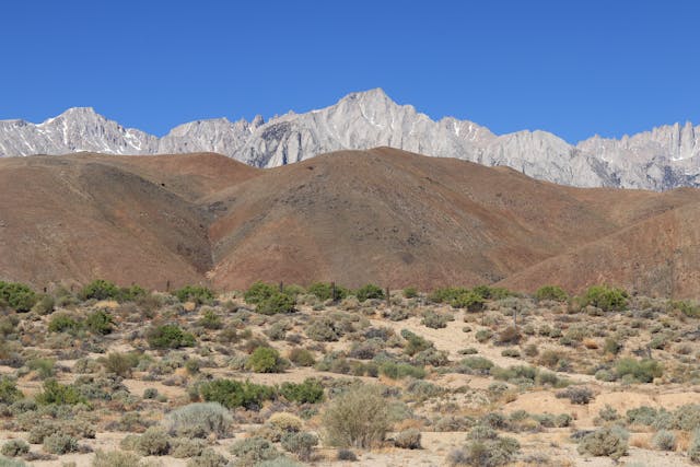 aerial shot of the Mount Ophir