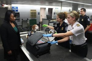 airport luggage inspection