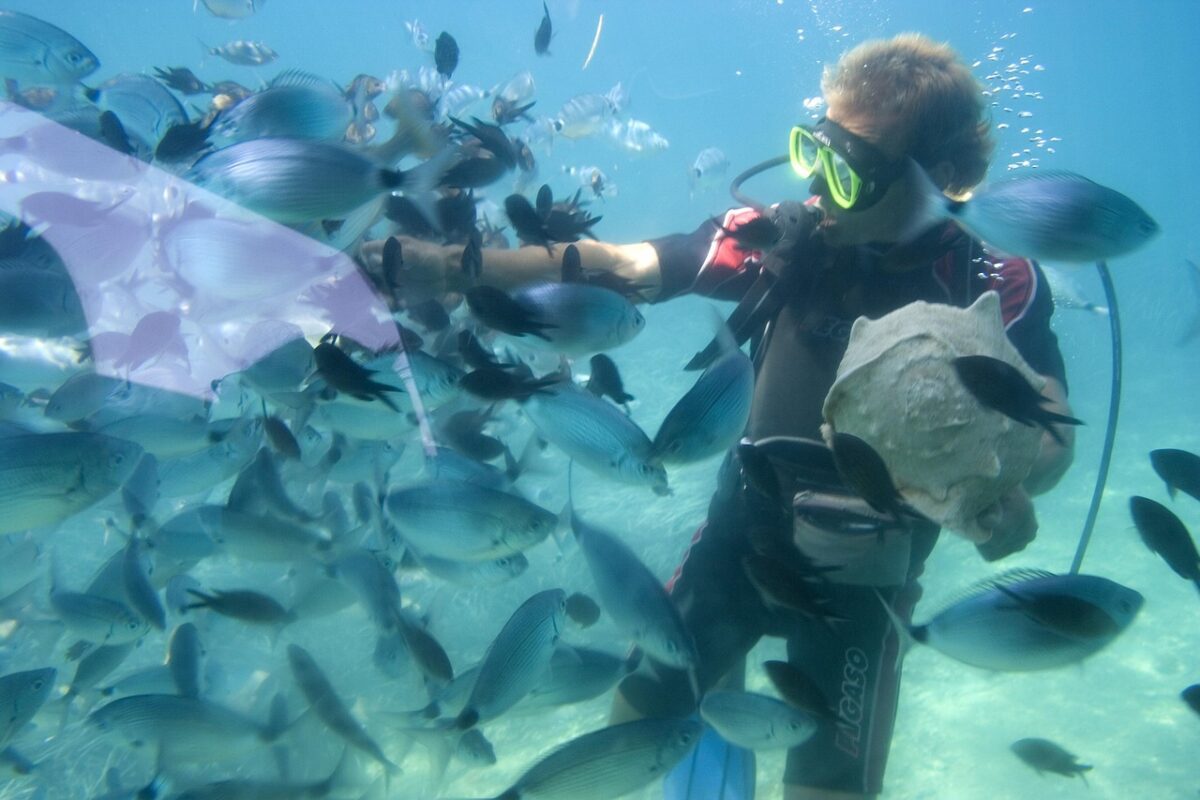 snorkeling underwater