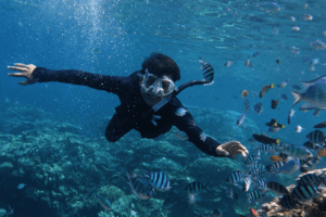 diver in bai