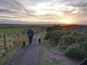 man and dogs walking in Ireland