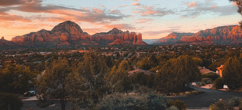 forest and mountains