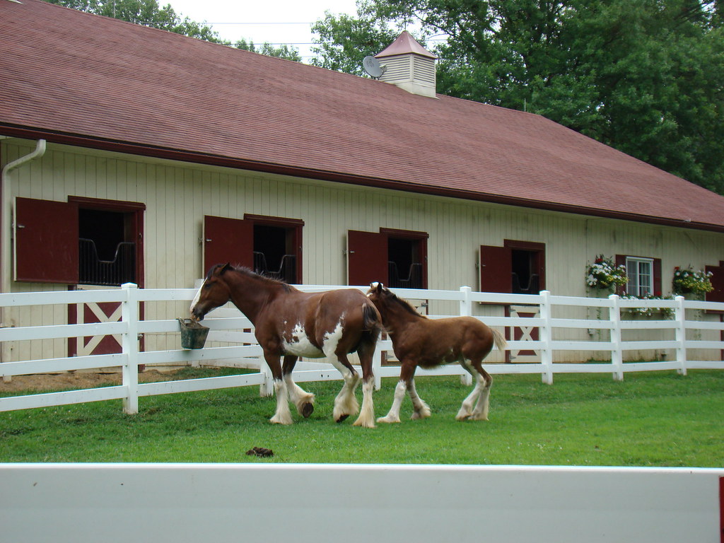 Grant's Farm