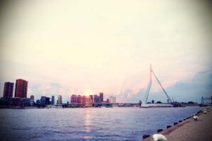 Rotterday waterfront
