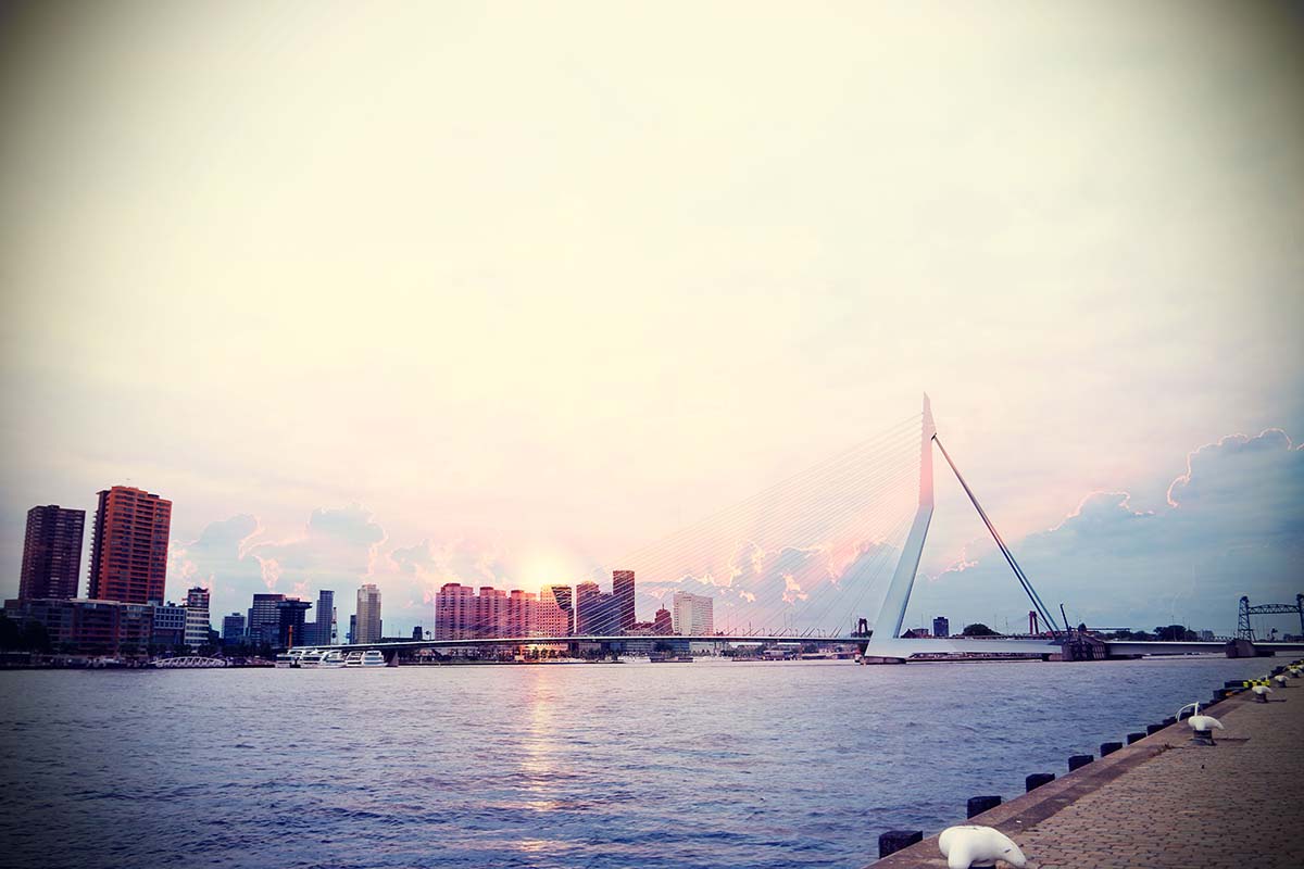 Rotterday waterfront